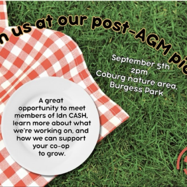 CASH Picnic
